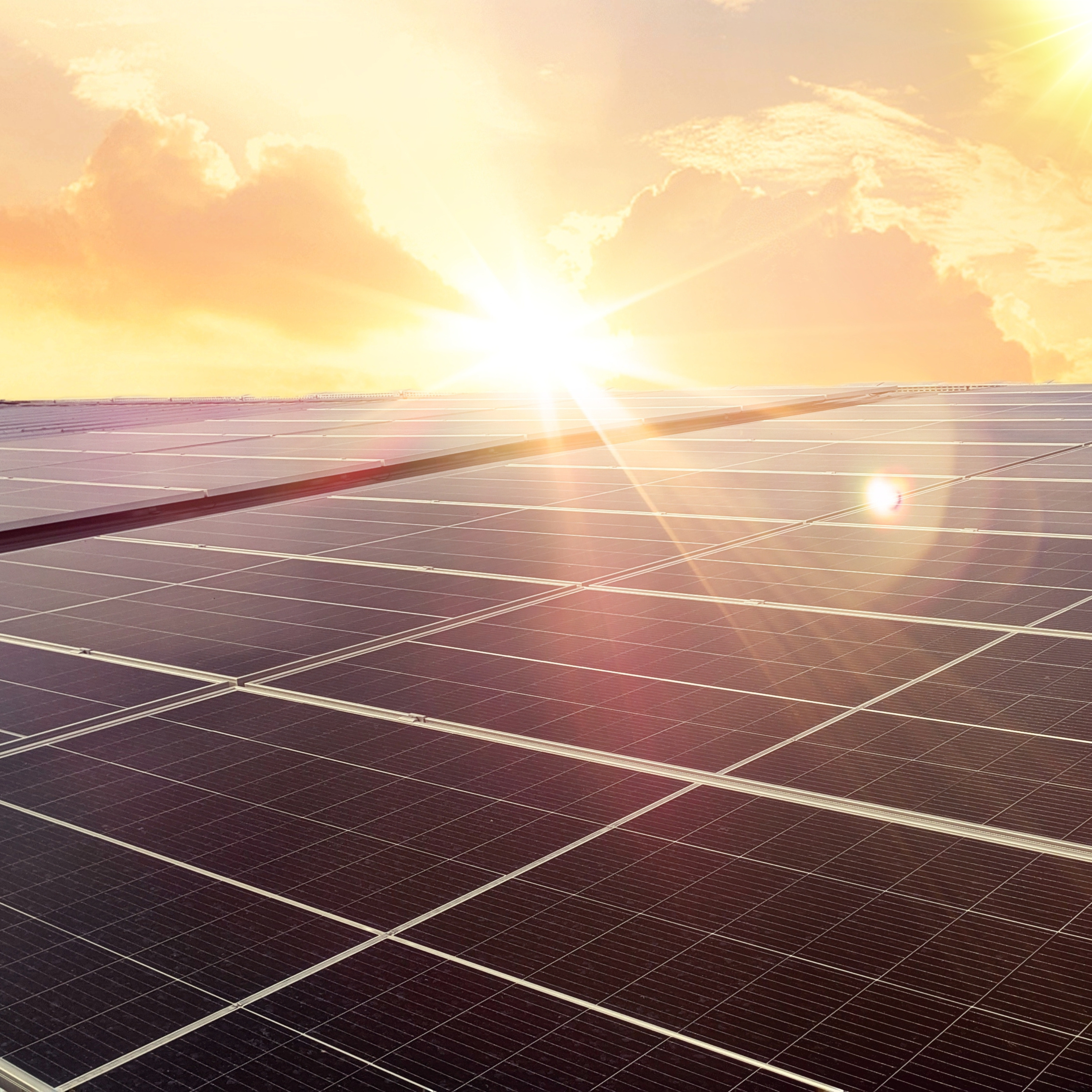 Solar for Businesses in Greenwood, South Carolina
