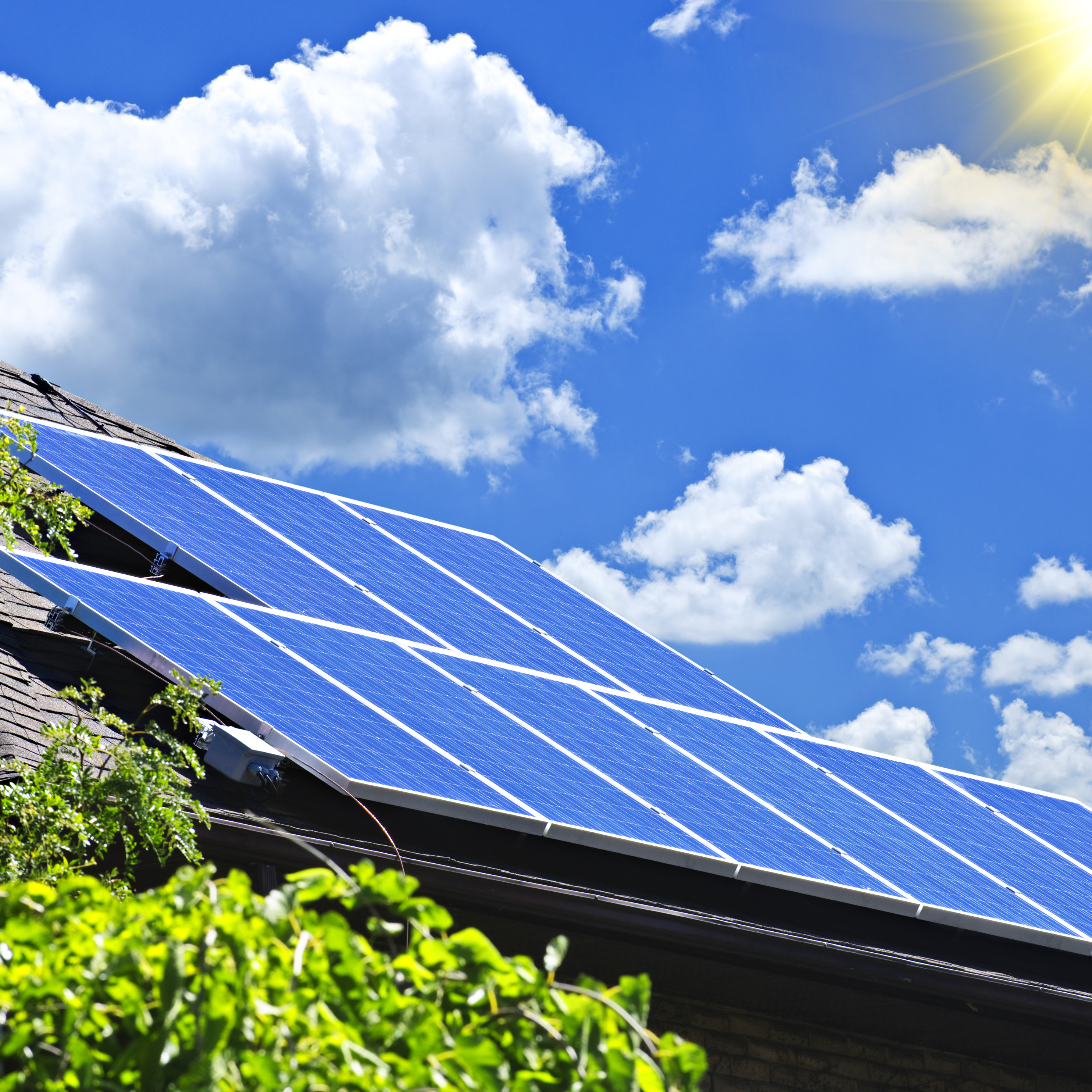 Solar Panels in Greenwood, South Carolina